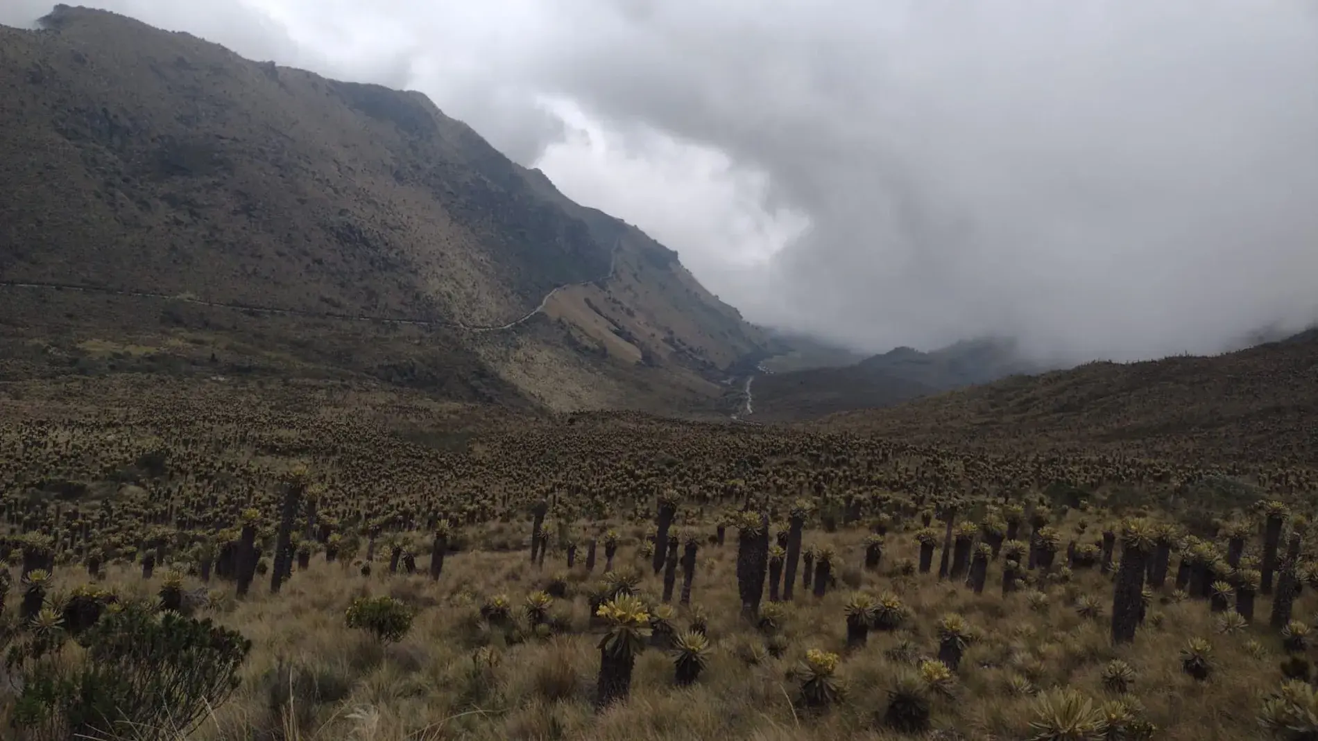 genesis travel, turismo, pasadias, transporte en ibagué, colombia