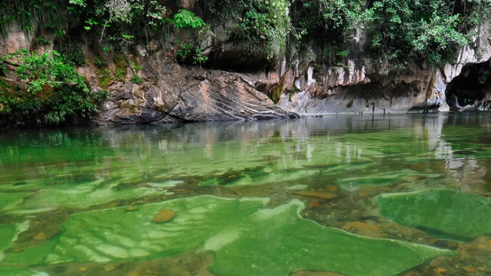 genesis travel, turismo, pasadias, transporte en ibagué, colombia