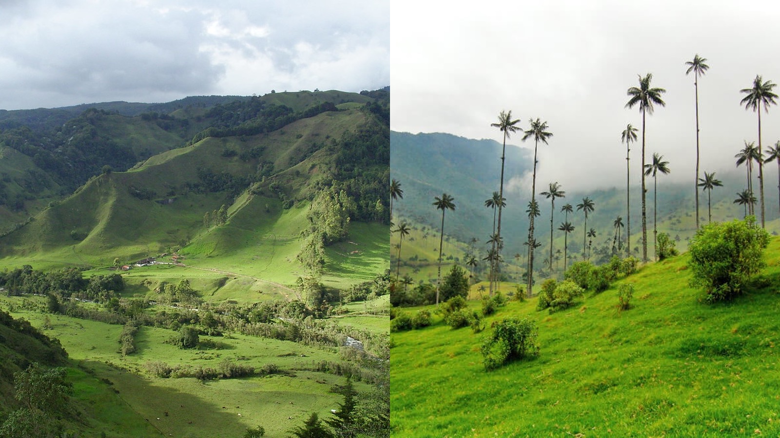 genesis travel, turismo, pasadias, transporte en ibagué, colombia