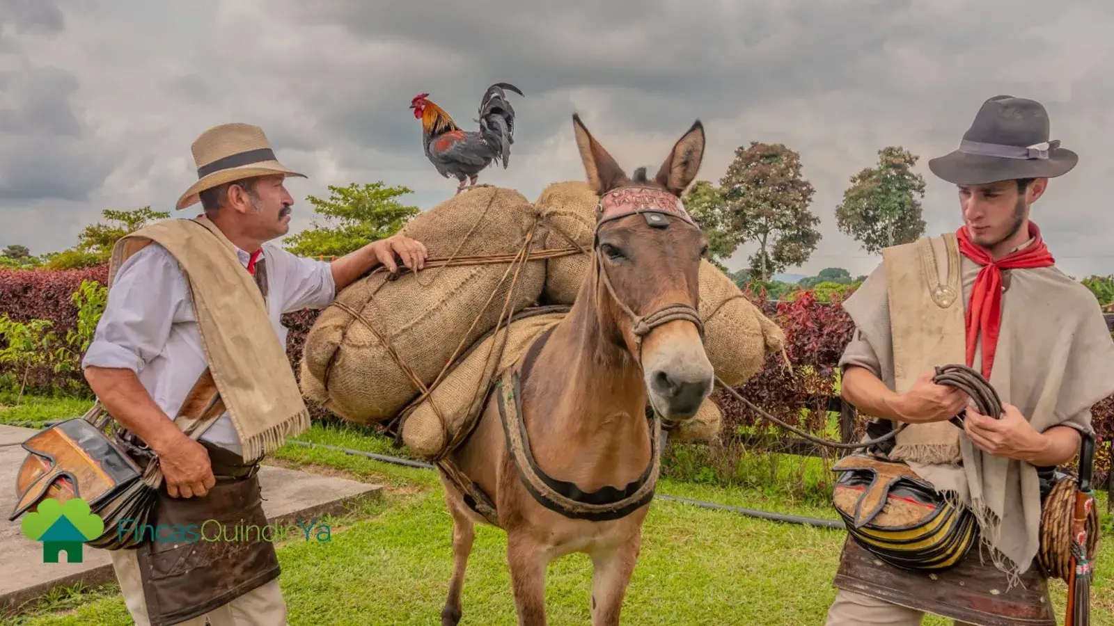 genesis travel, turismo, pasadias, transporte en ibagué, colombia