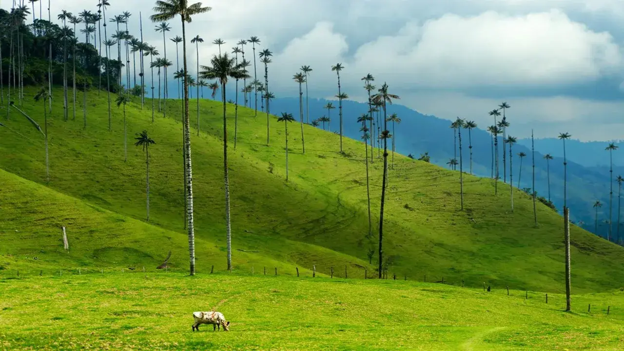 genesis travel, turismo, pasadias, transporte en ibagué, colombia