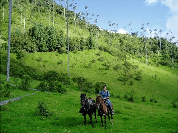 turismo pasadias genesis travel